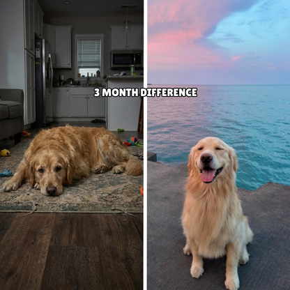 DoggySupps™ Taurine