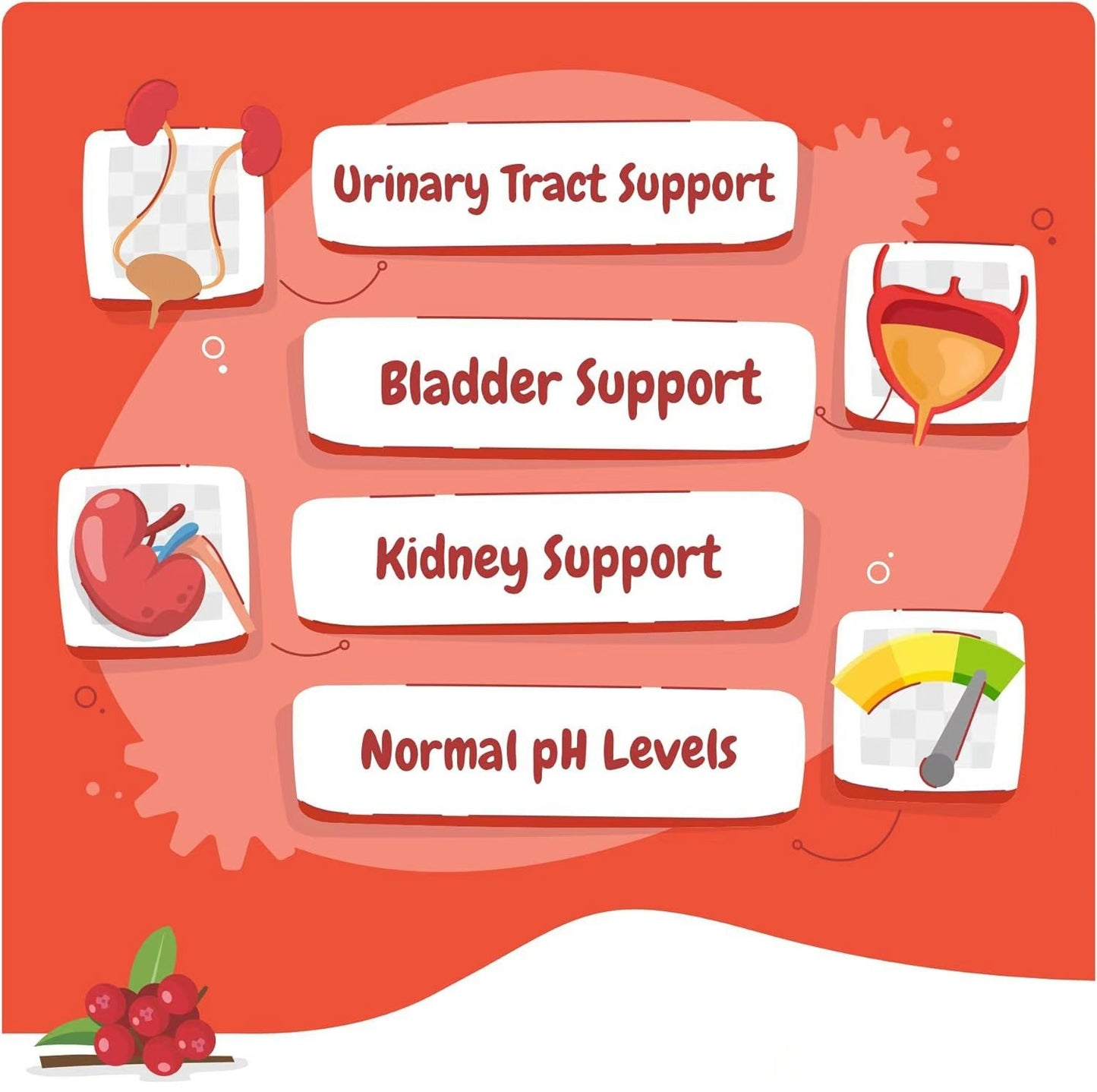 DoggySupps™ Kidney Support