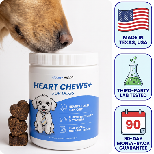 DoggySupps™ Heart Chews+