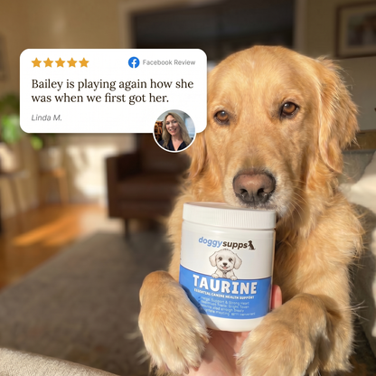 DoggySupps™ Taurine