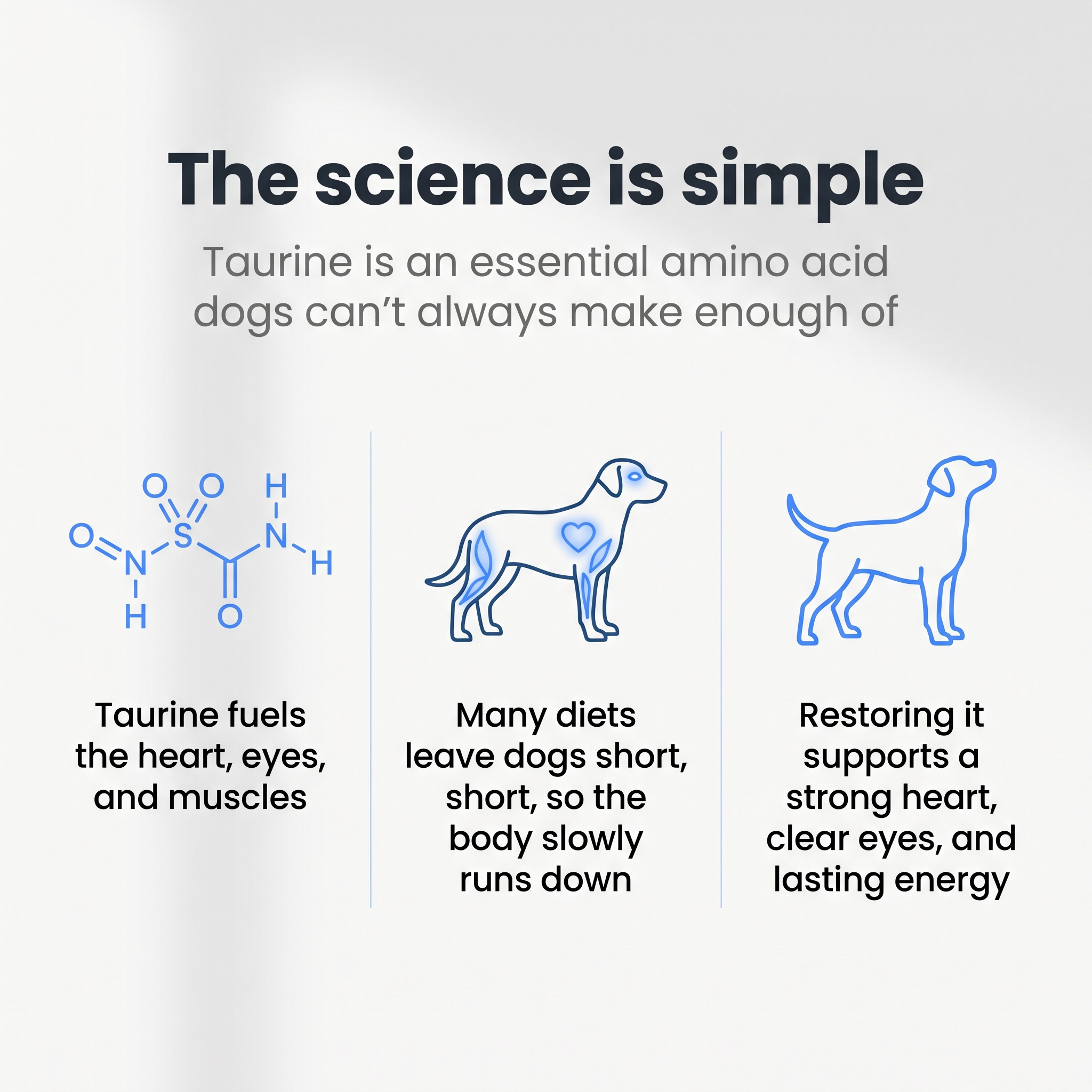 DoggySupps™ Taurine