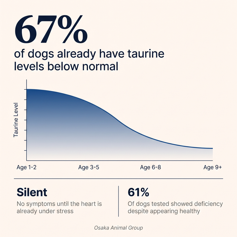 67% of dogs have taurine levels below what's considered normal.