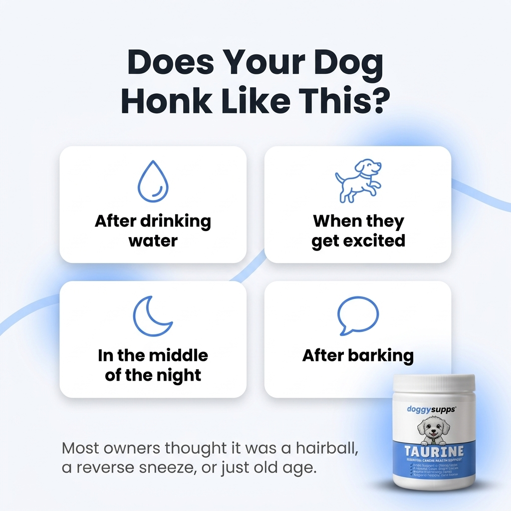 DoggySupps™ Taurine for Coughing Dogs