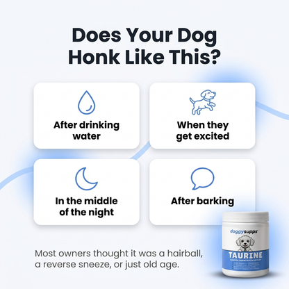 DoggySupps™ Taurine for Coughing Dogs