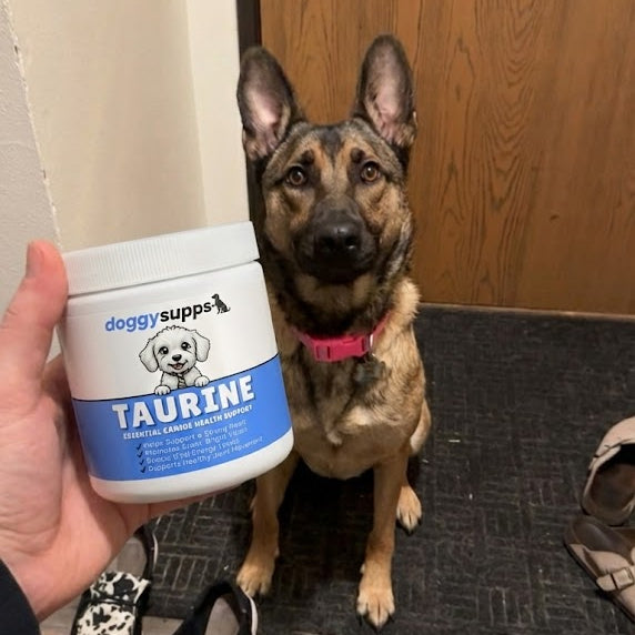 DoggySupps™ Taurine