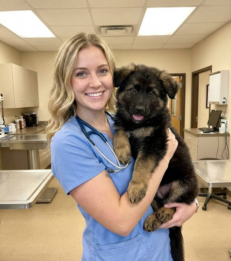 Dr. Sarah Mitchell