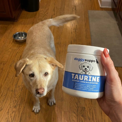 DoggySupps™ Taurine